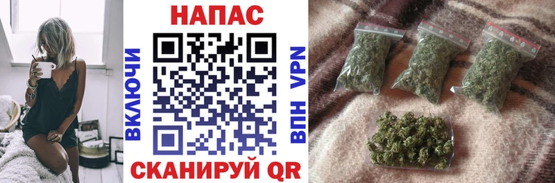 Бошки Шишки OG Kush  ссылка на мегу зеркало  Новозыбков 